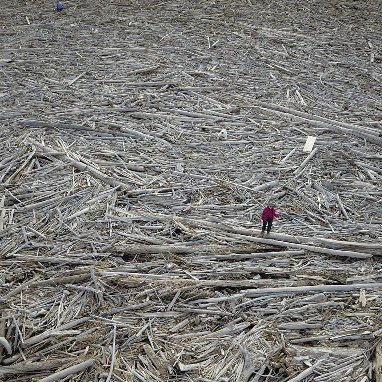 'Phenomenal' logjam in the ºÚÁϳԹÏÍø Arctic stores millions of tonnes of carbon: study